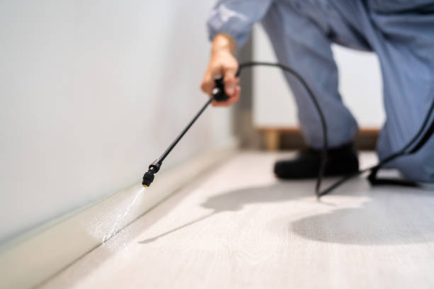 Bed Bug Pre-Treatment Preparation Assessment in Pine Level
