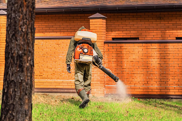 Bed Bug Clearance Verification and Documentation in Pine Level